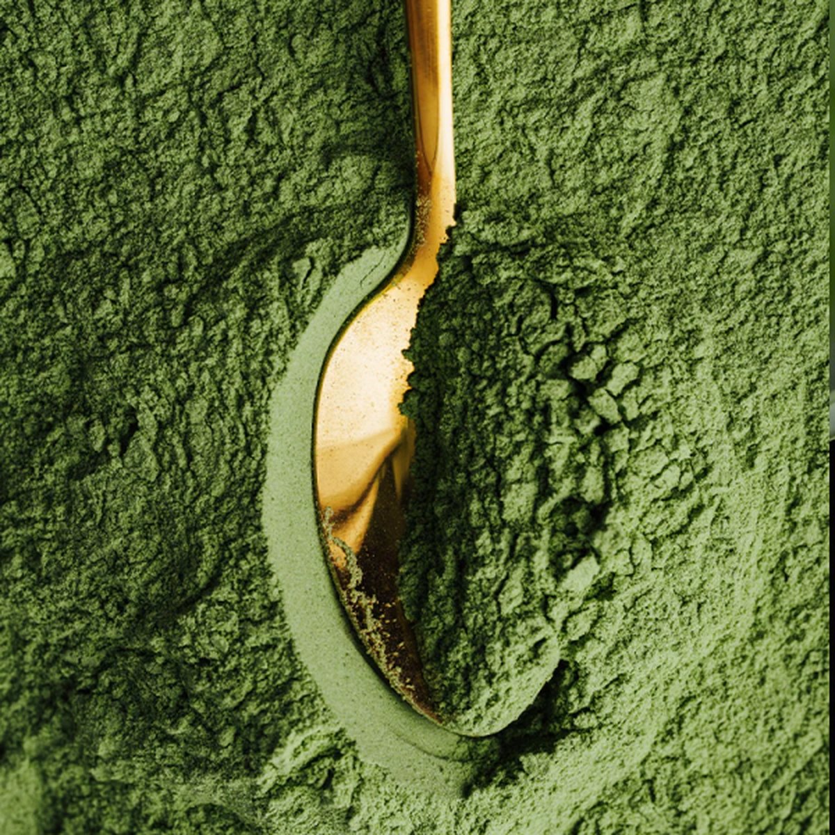 Złota łyżeczka z proszkiem matcha