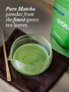 EQUA Ceremonial Grade Matcha
