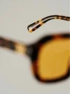 Eyewear brown 11 eng