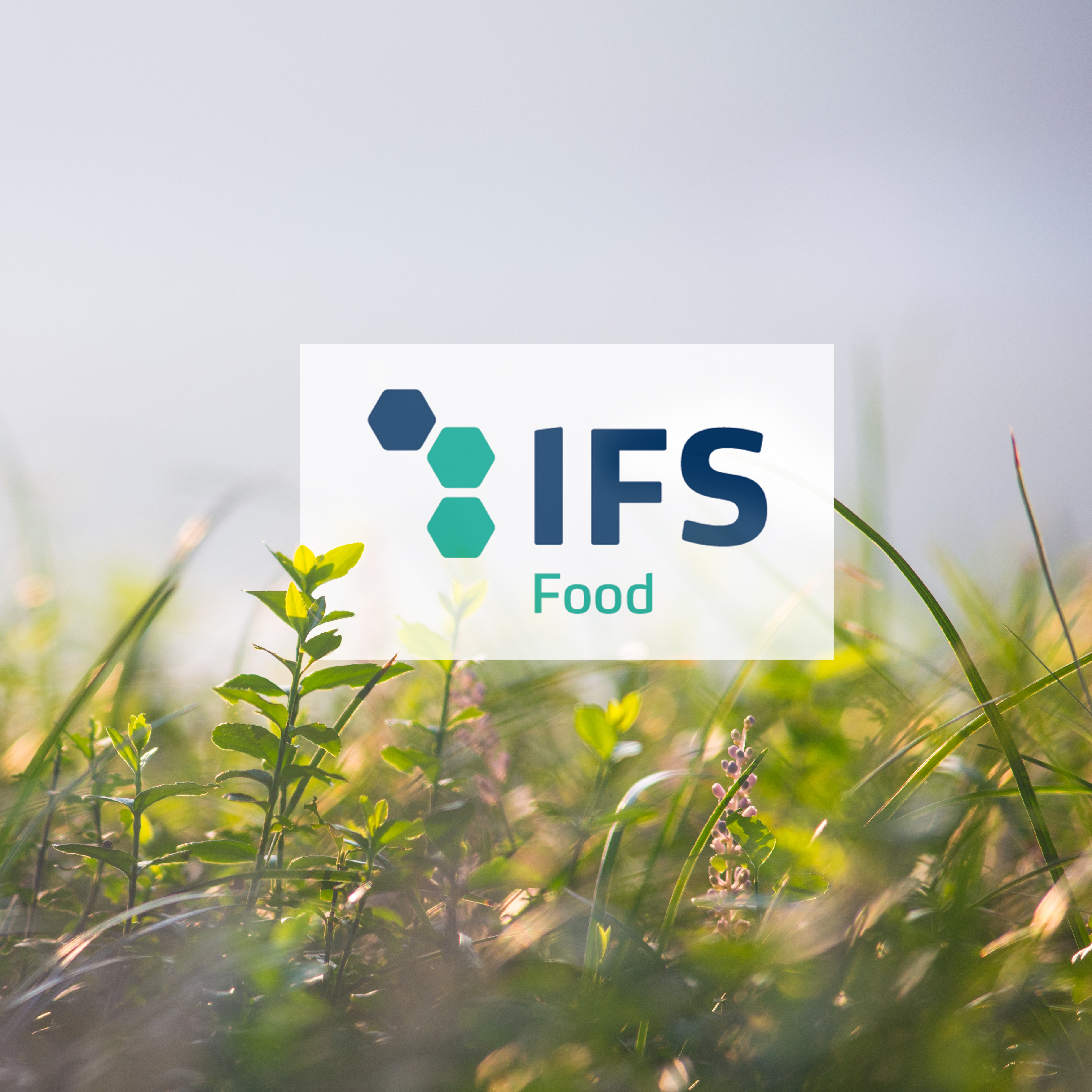 We are IFS Food certified