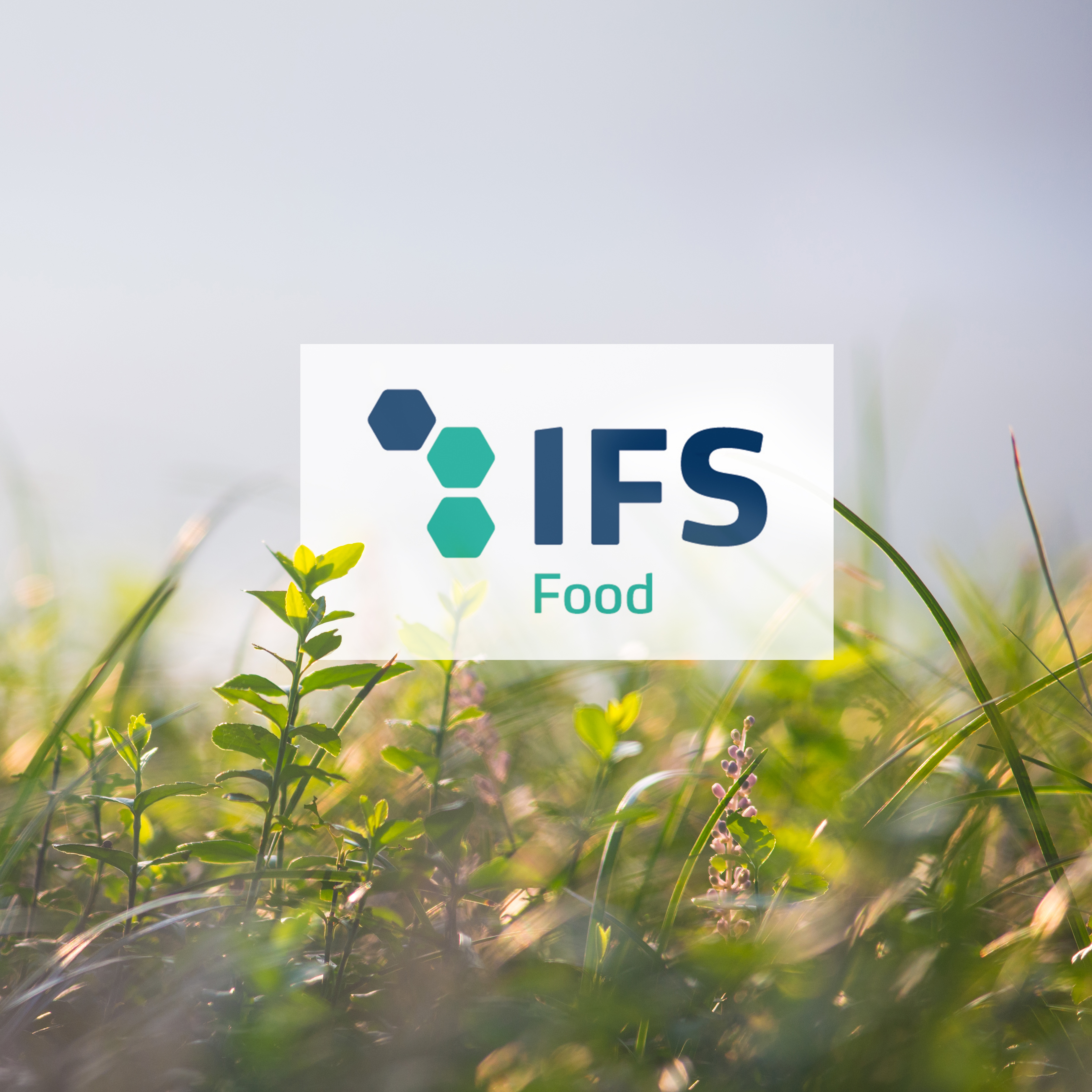 Máme certifikát IFS Food