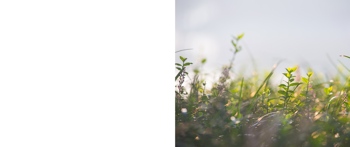 Pro harmonii těla i mysli