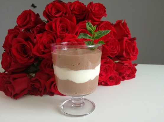 Low carb keto proteinová panna cotta čokoláda/vanilka