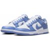 Nike Dunk Low Polar Blue