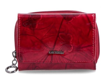 Snímek obrazovky 2025 09 24 141036