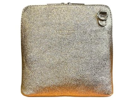 stažený soubor 2026 01 09T125805.670