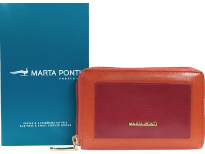 Snímek obrazovky 2026 01 10 095139