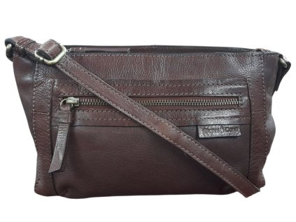 Snímek obrazovky 2026 01 26 111729