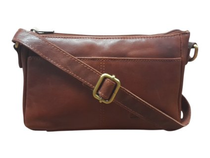 Snímek obrazovky 2026 01 29 124627