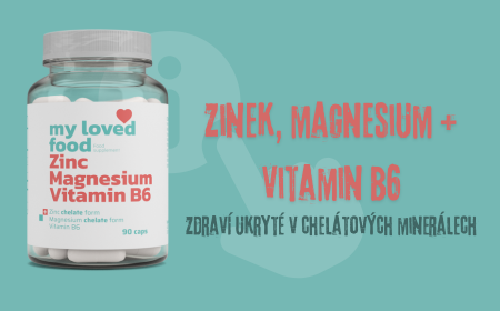 ZMB 6