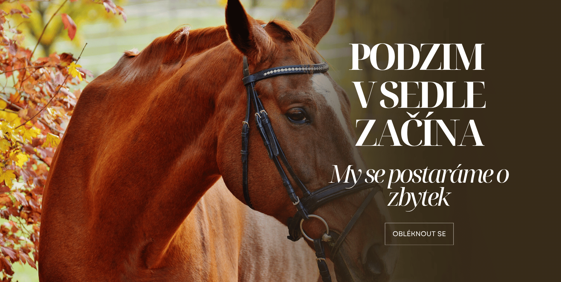 Podzim v sedle