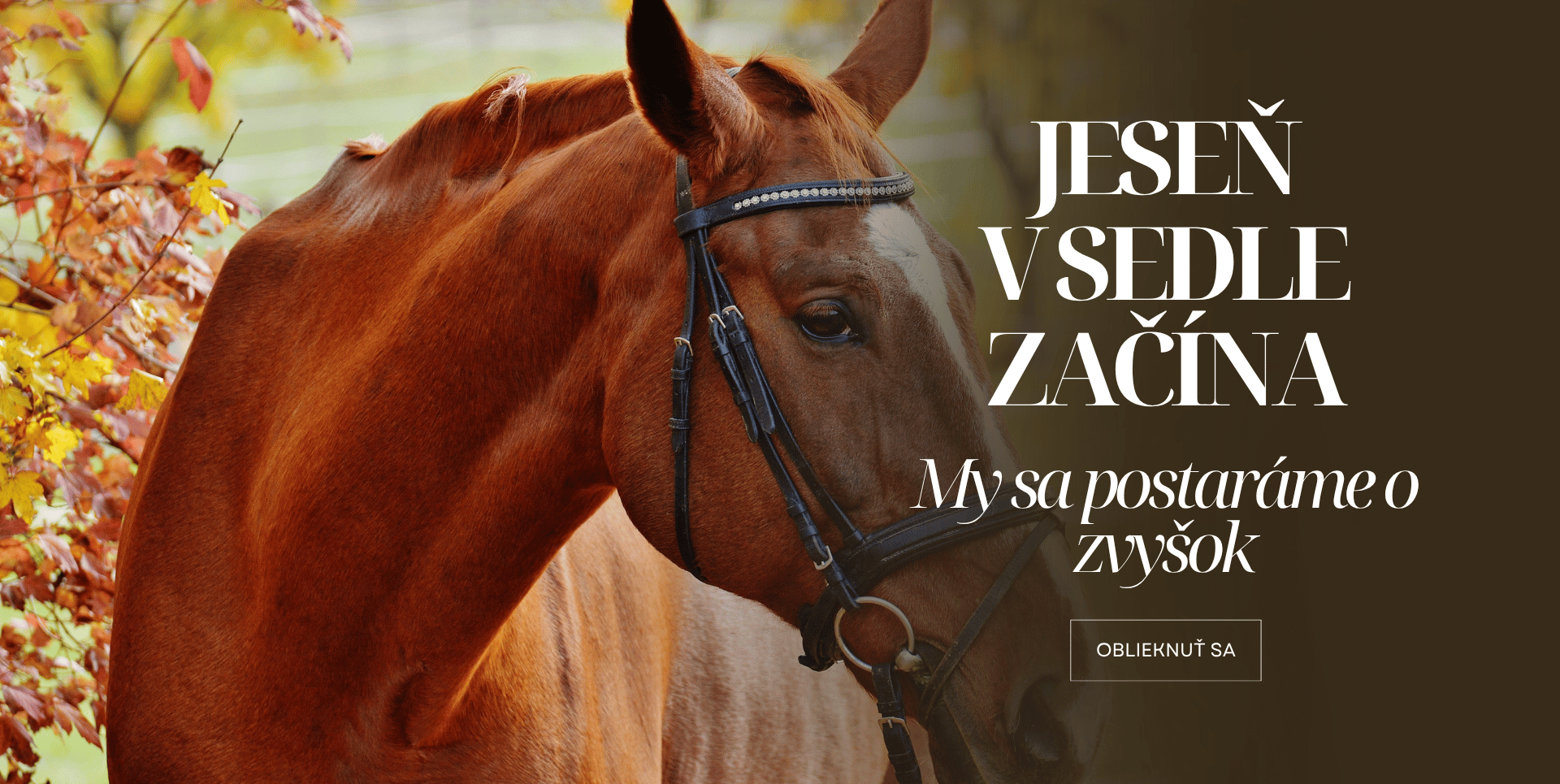 Podzim v sedle