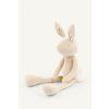 LAPIN VANILLE ASSIS 1