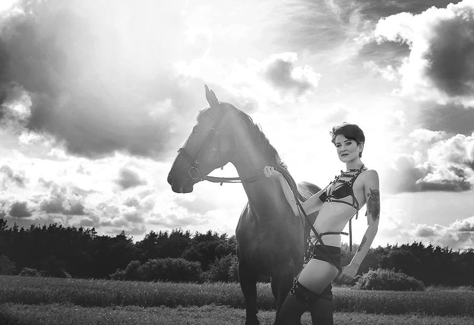 designovyharness