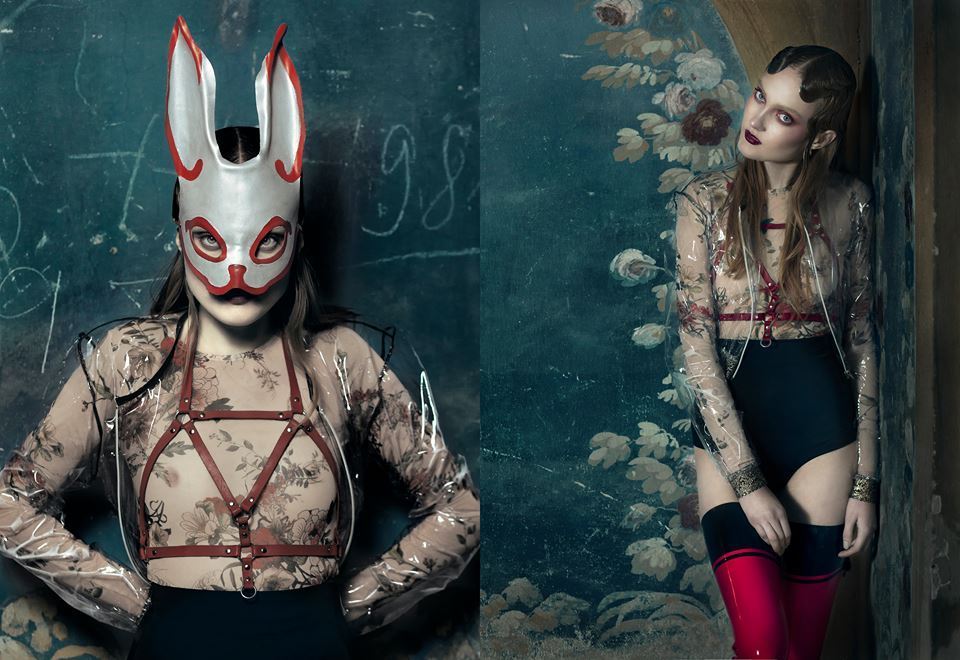 Leather Harness