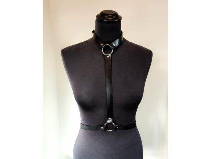 harness1
