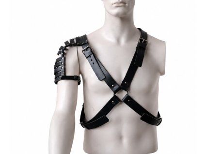 panskyharness3