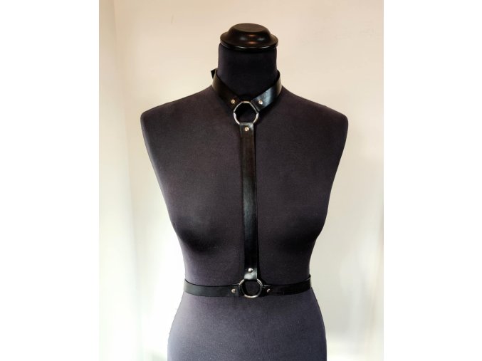 harness1