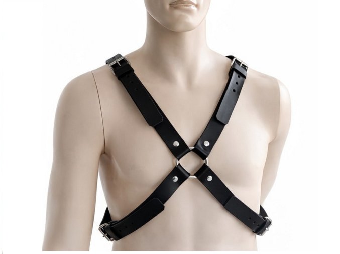 pankyharness