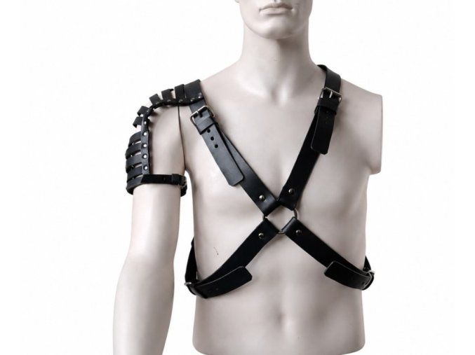 panskyharness3