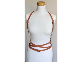 harness1