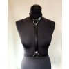 harness1