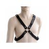 pankyharness