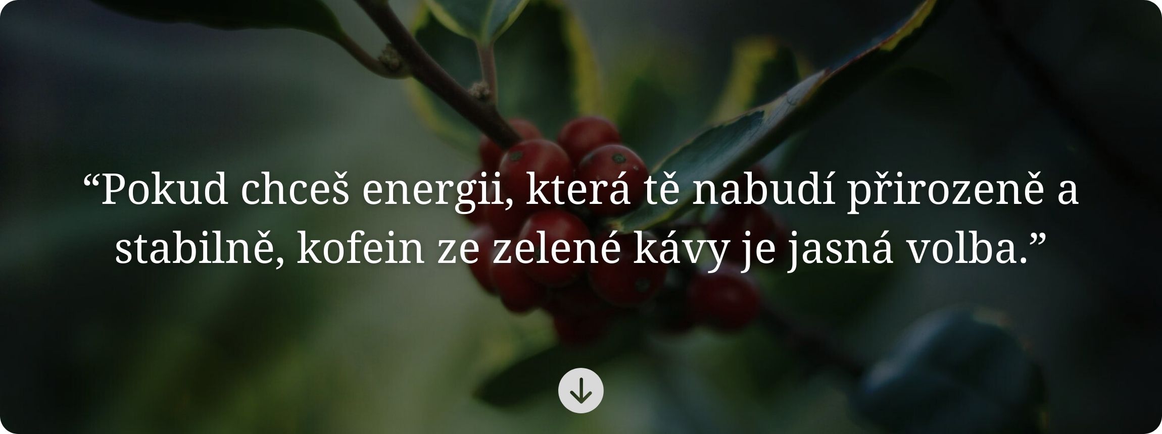 my-peek-flow-banner-blog-zelena-kava-prirodni-energy-shot