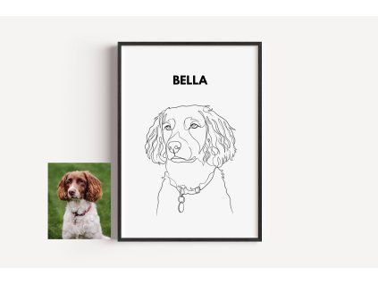 line art pet 1 black frame basic foto