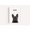 buldocek white frame basic