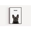 buldocek black frame basic