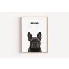 buldocek white frame basic