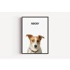 jack russel black frame basic
