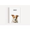 jack russel white frame basic