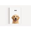 Retrivr white frame basic