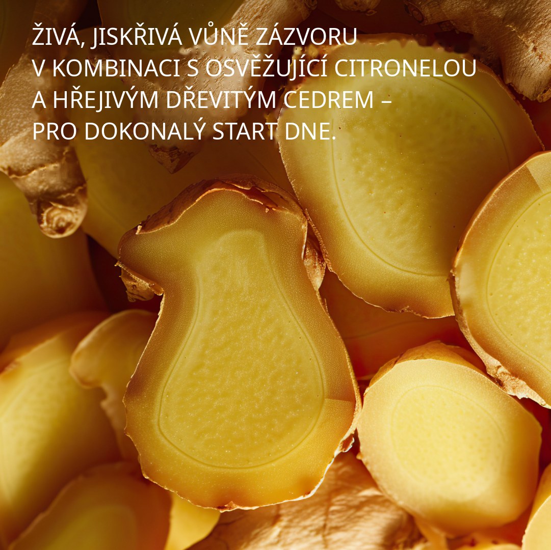Vůně zázvoru, citronely a cedrového dřeva