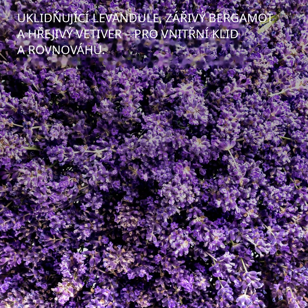 Uklidňující levandule, bergamot a vetiver