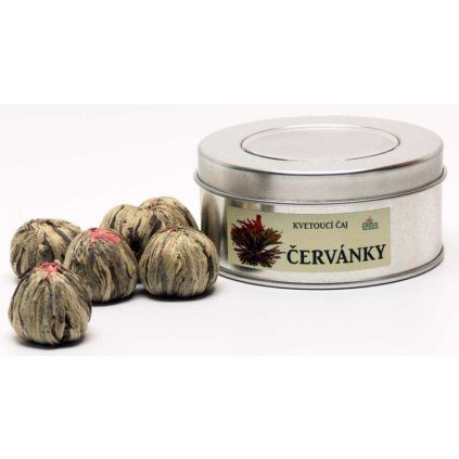 červánky