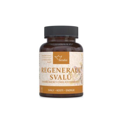 regenerace svalu