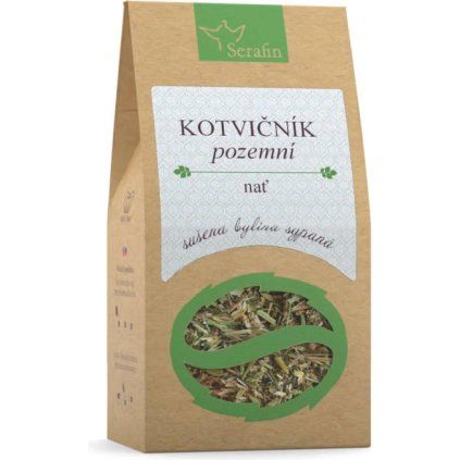 kotvič