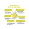 5667 kombucha real bubble lemon ginger