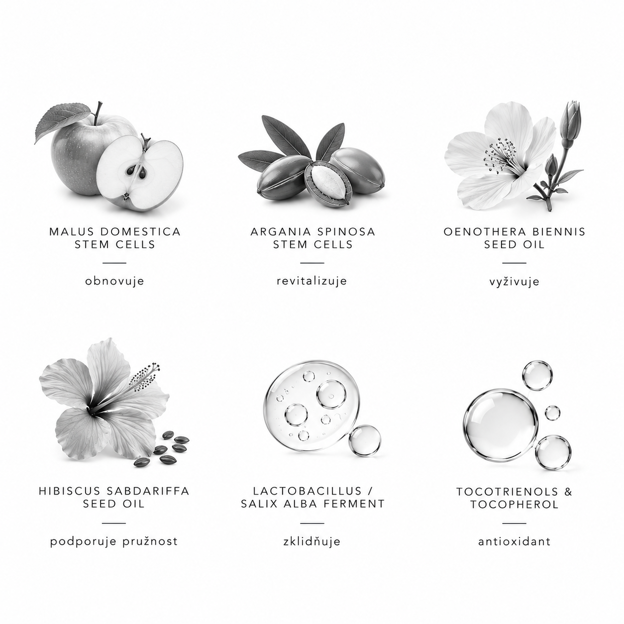 Detail textury produktu