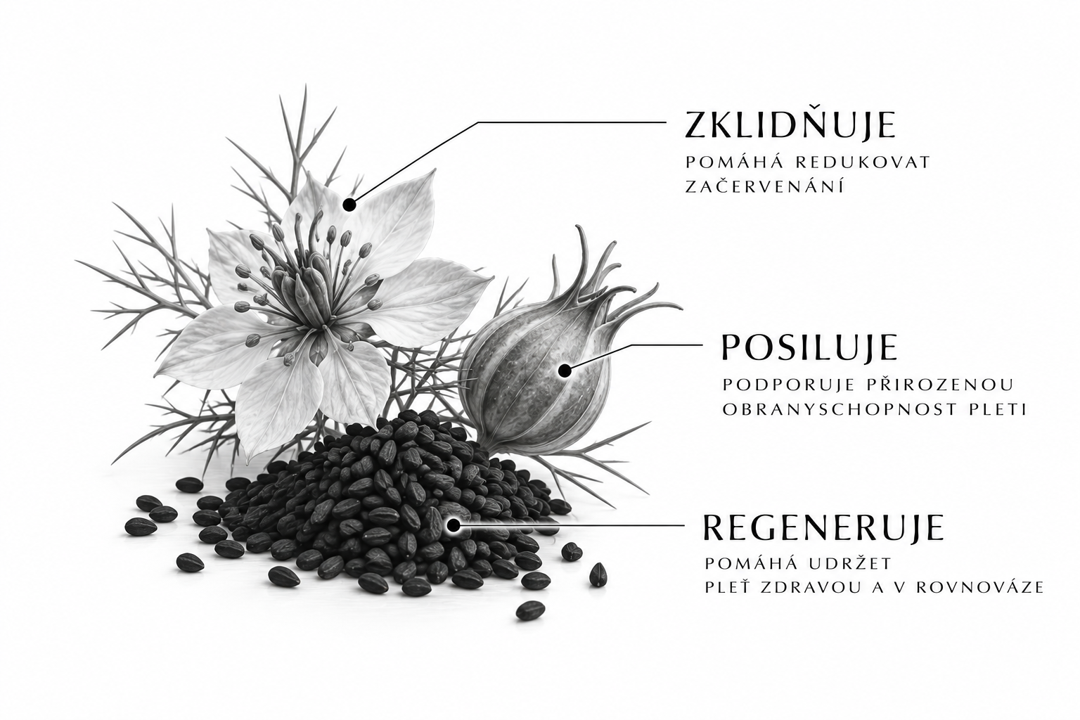 Makro fotografie rostlinného oleje