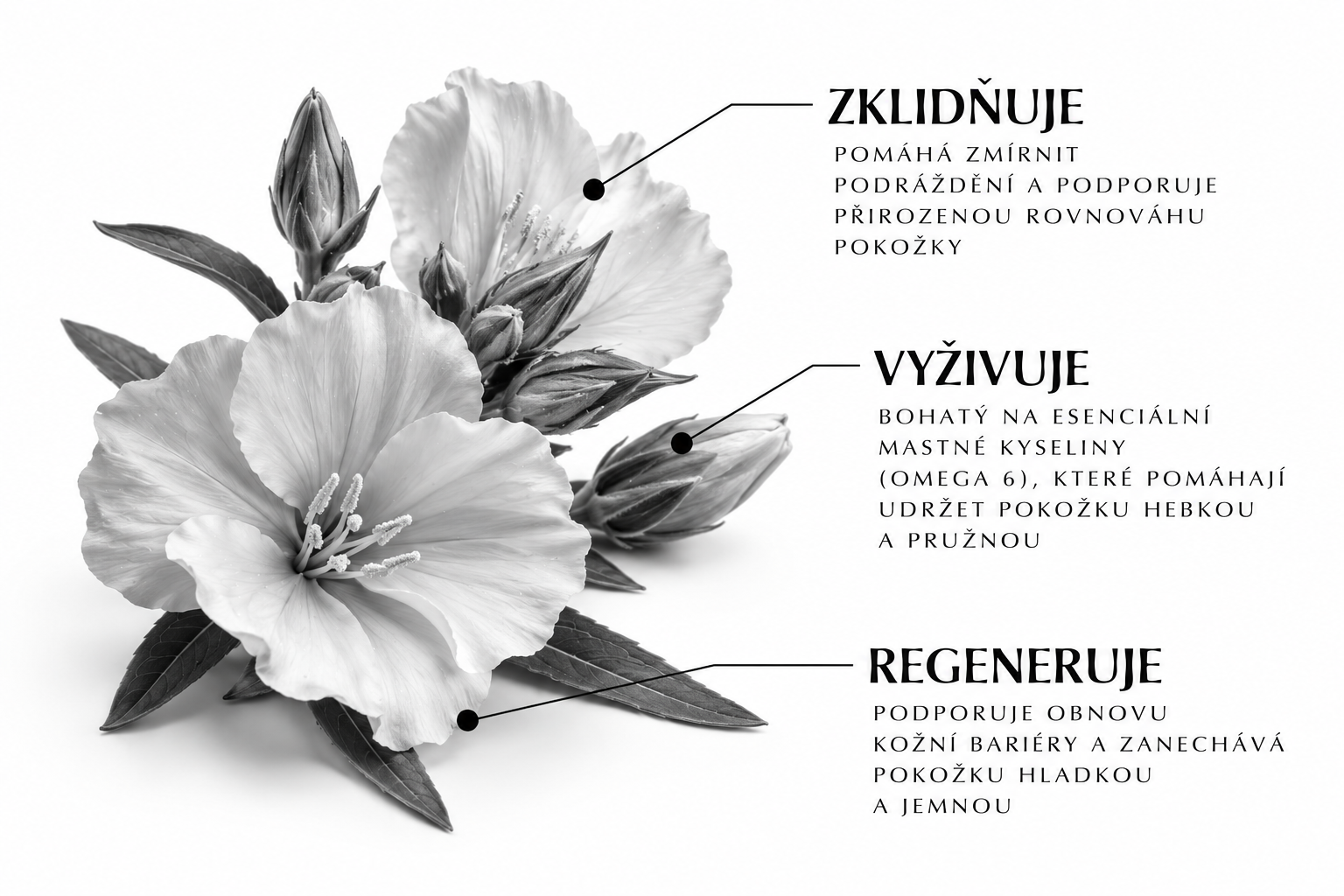 Makro fotografie rostlinného oleje