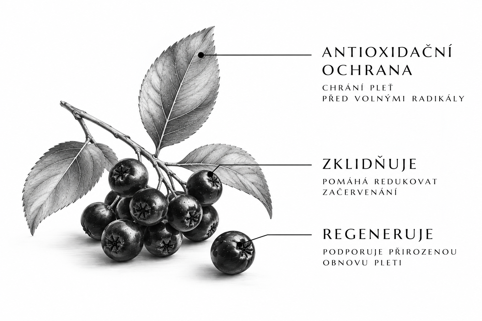 Makro fotografie rostlinného oleje