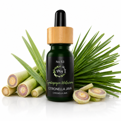citronella jawa