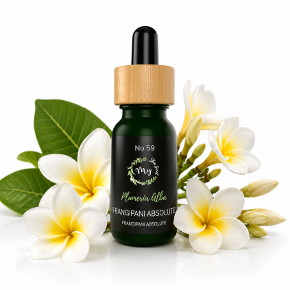 FRANGIPANI