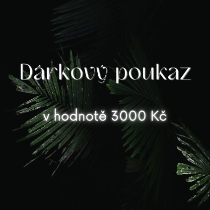 Dárkový poukaz v hodnotě 3000Kč