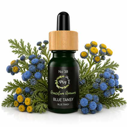 blue tansy