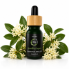 OSMANTHUS